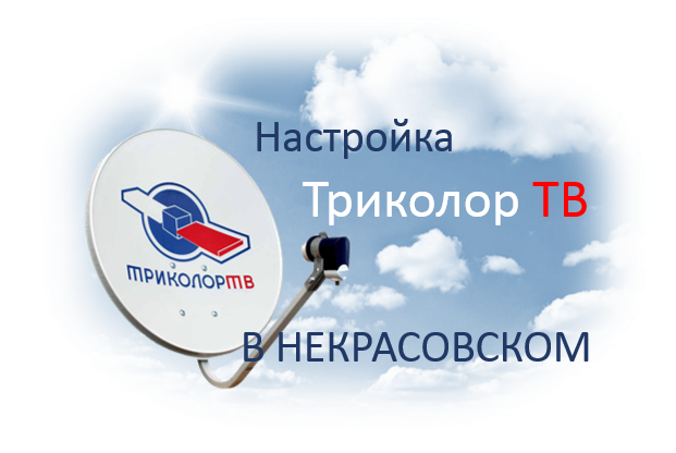 Настройка и установка Триколор в Некрасовском